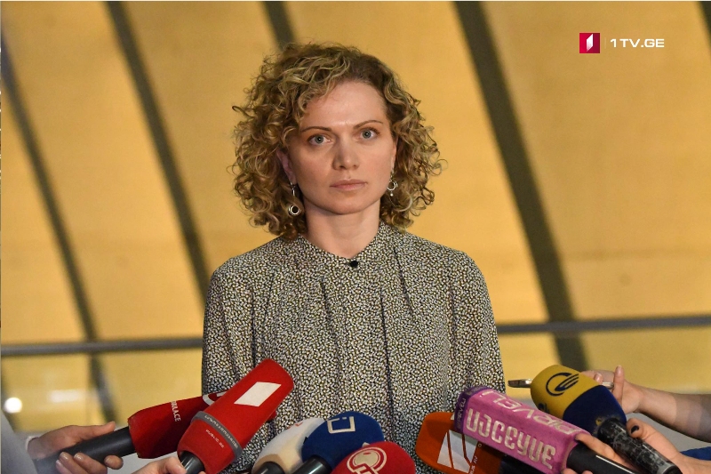Тамар Хулордава – Мы примем резолюцию, которая не будет поддержана только одной партией