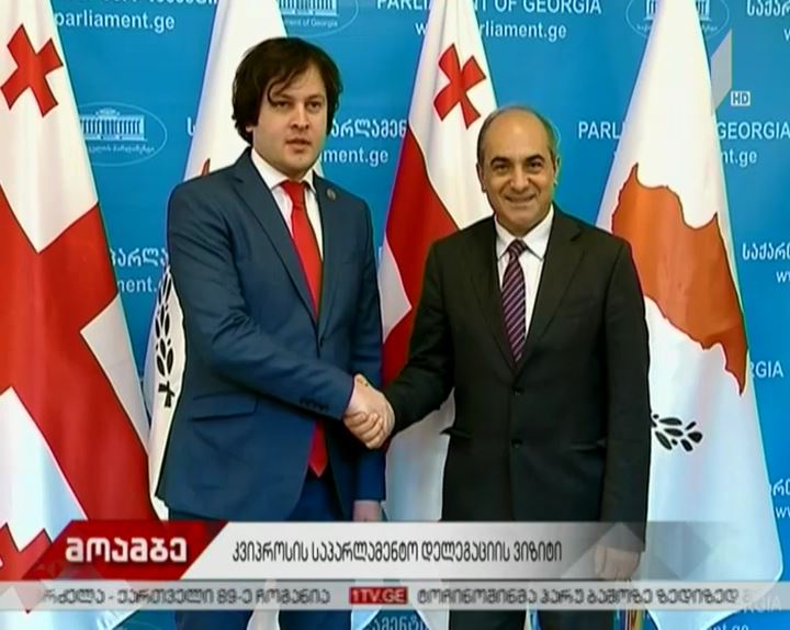 ირაკლი კობახიძე კვიპროსელ კოლეგას შეხვდა