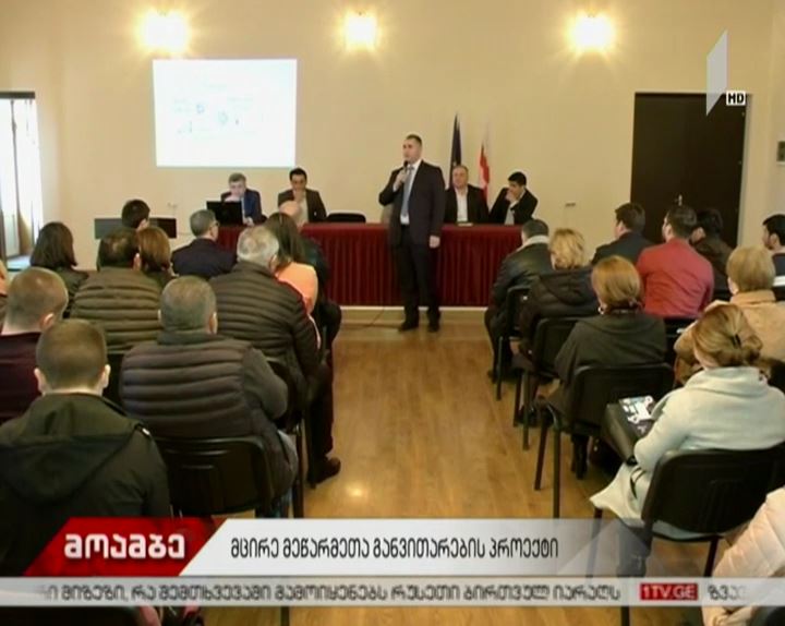 რეგიონებში, მცირე ბიზნესის წარმომადგენლებისთვის, ახალი საგადასახადო ინიციატივის განხილვა დაიწყო