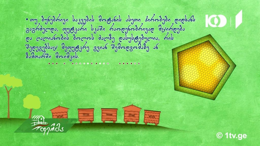 ფუტკრის მოვლა წელიწადის სხვადასხვა დროს
