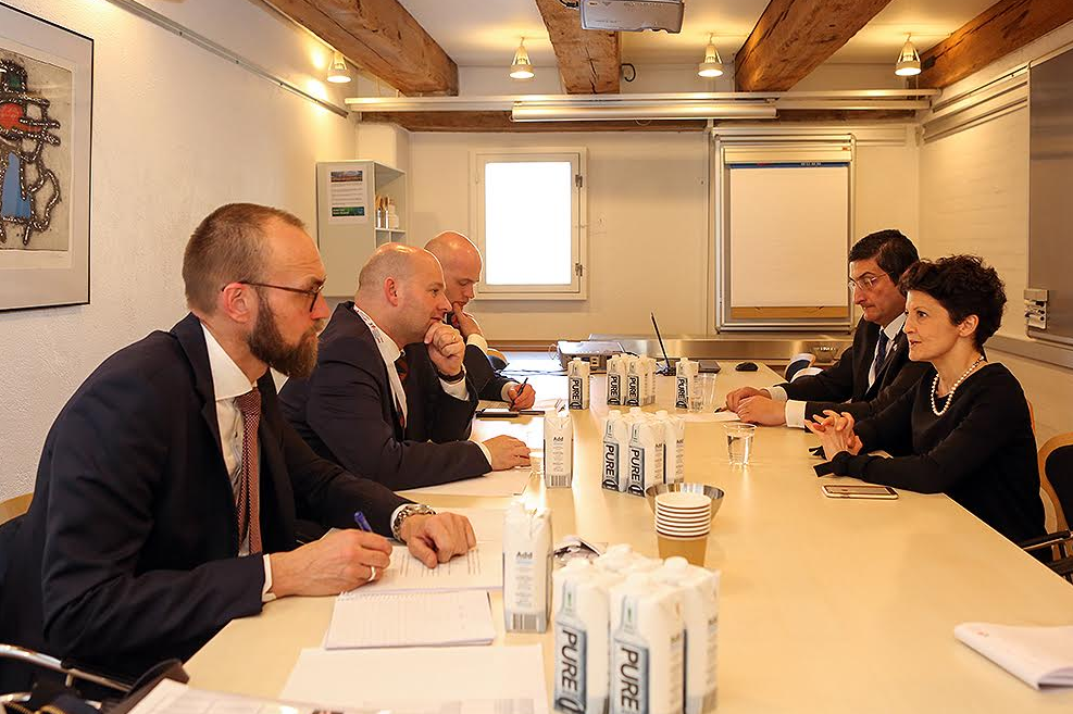 Tea Tsulukiani offers Denmark to recognize Georgia as safe country