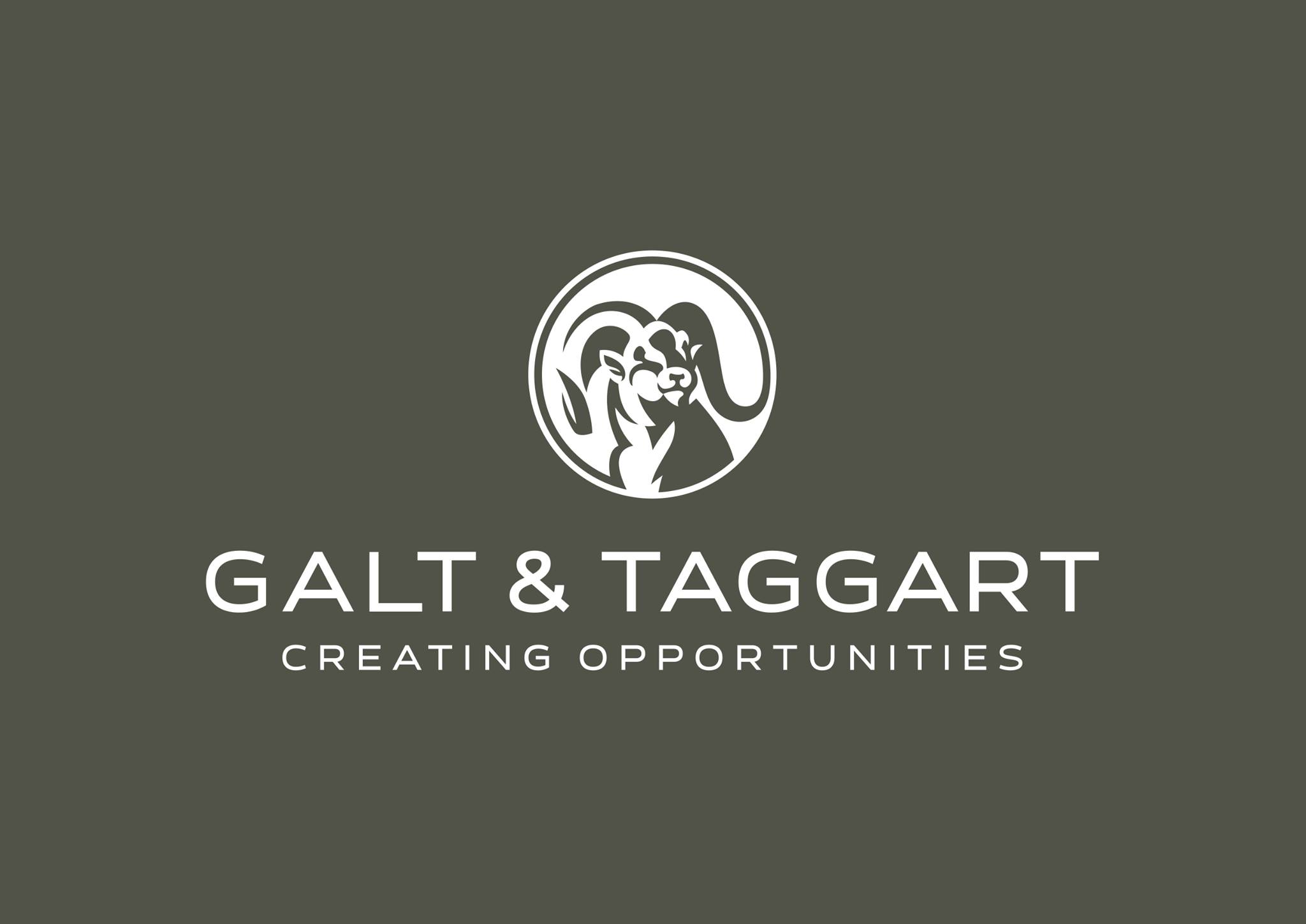 Galt & Taggart - ლარის გამყარება ინვესტიციების, ექსპორტის, ტურიზმისა და ფულადი გზავნილების ზრდას უკავშირება