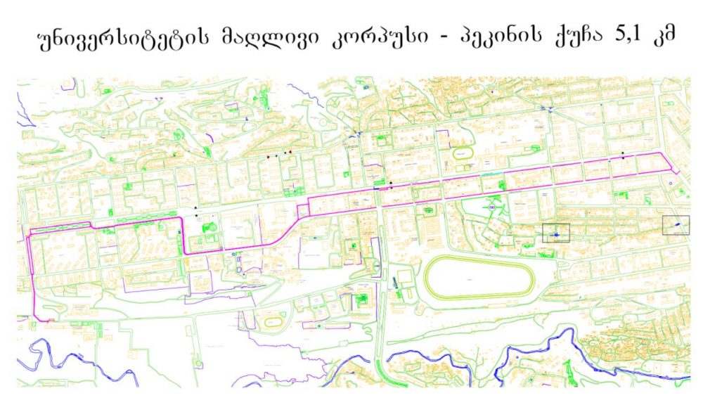ახალი ველობილიკის საპროექტო ტენდერი მესამედ, გაზრდილი ფასით გამოცხადდა