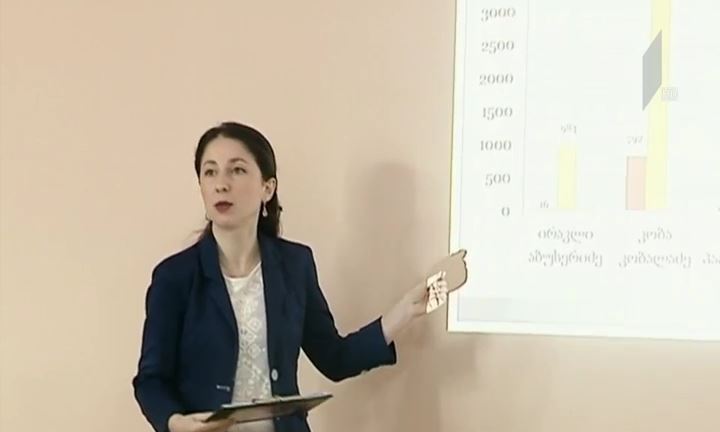 „ახალი საქართველო“ მაჟორიტარი დეპუტატობის საქმიანობაში არსებულ ხარვეზებზე საუბრობს