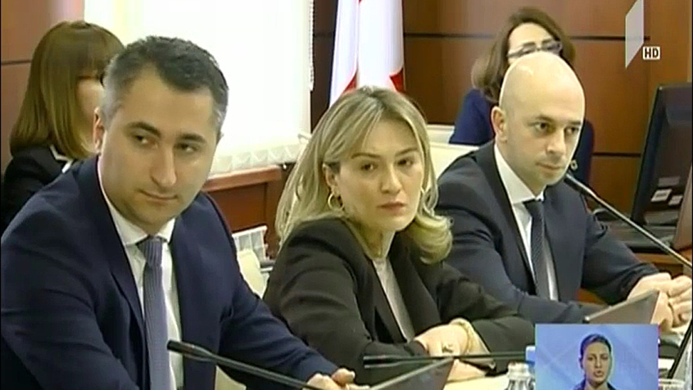 იუსტიციის უმაღლესი საბჭოს არამოსამართლე წევრები ზეწოლასა და მუქარაზე საუბრობენ