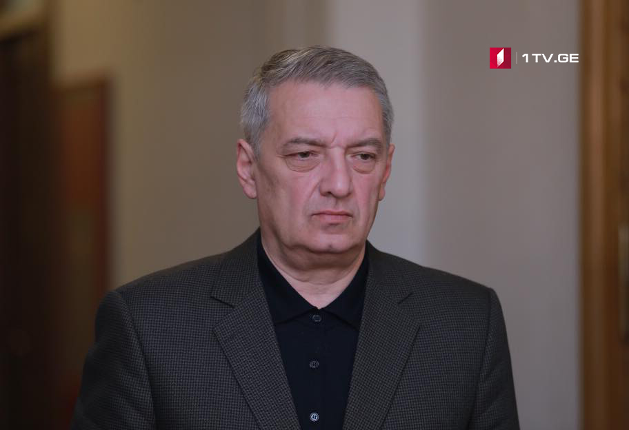 Гия Вольский – Заявление Давида Чичинадзе было некорректным, так как оно не будет отвечать общему настрою