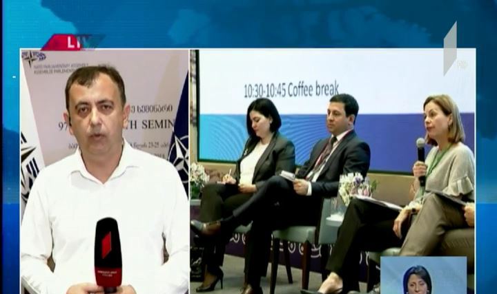 ნატოს საპარლამენტო ასამბლეის სემინარი ბათუმში