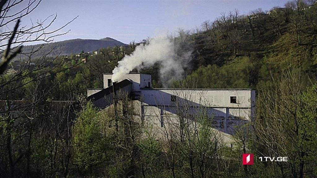 სოლიდარობის აქცია ტყიბულში