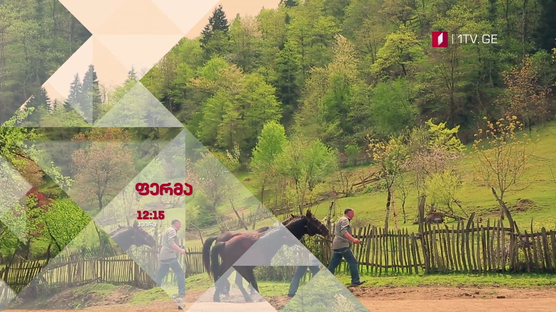 „ფერმა" - 29 აპრილს, 12:15 საათზე