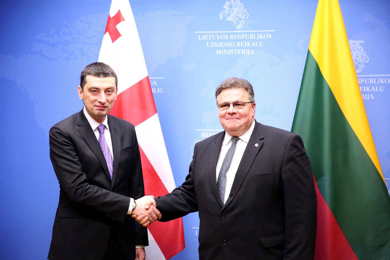 გიორგი გახარია ლიტვის რესპუბლიკის საგარეო საქმეთა მინისტრს შეხვდა