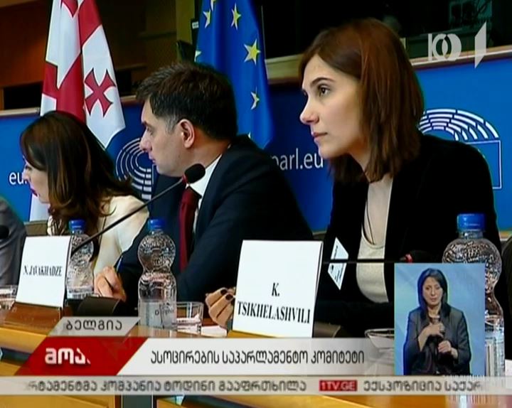 ევროკავშირი-საქართველოს ასოცირების საპარლამენტო კომიტეტის ერთობლივი განცხადება
