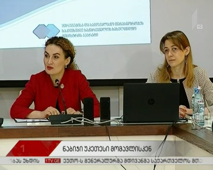 “ნაბიჯი უკეთესი მომავლისკენ” -  მსჯელობა სამშვიდობო ინიციატივის პრაქტიკულ ნაწილზე