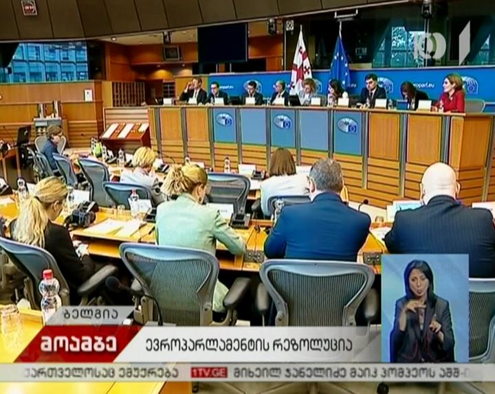 ევროპარლამენტარები, ქართველ კოლეგებთან ერთად, სპეციალურ რეზოლუციაზე მუშაობენ