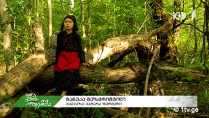 ფერმა 05 13.mp4_20180513_131144.200