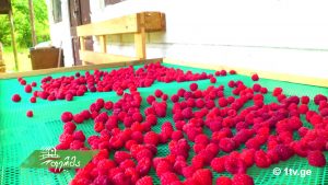 ფერმა 05 20.mp4_20180520_130656.936