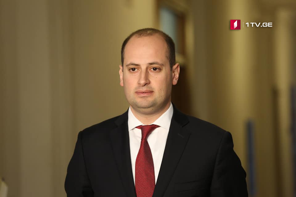 Михаил Джанелидзе – Я уверен, что визит премьера Армении принесет новые результаты нашим двухсторонним отношениям
