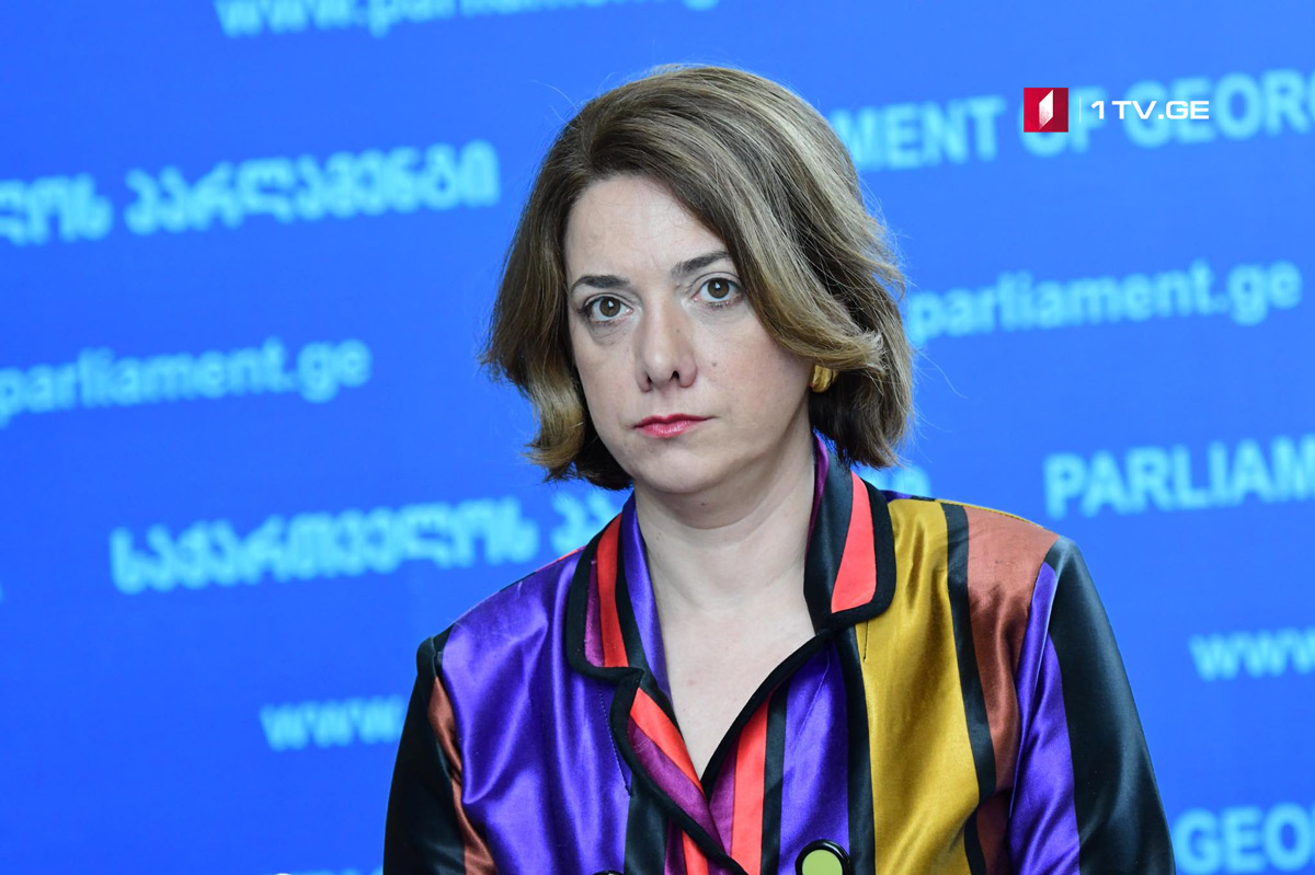 სალომე სამადაშვილი - საფუძვლიანი ეჭვი გვაქვს, რომ საქმე ეხება პროვოკაციას ოპოზიციონერი დეპუტატის წინააღმდეგ 
