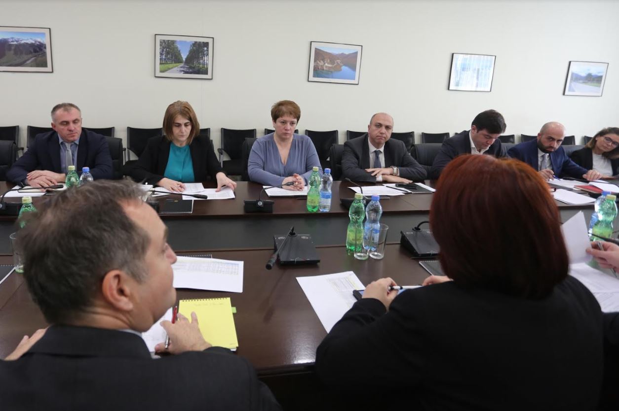მაია ცქიტიშვილი აზიის განვითარების ბანკის წარმომადგენლებს შეხვდა