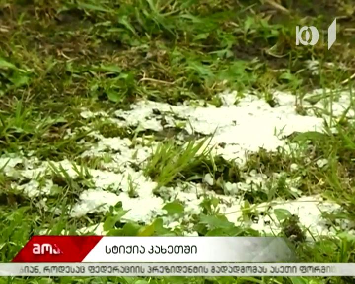 სოფელ ბაკურციხეში სეტყვამ საკარმიდამო ნაკვეთები დააზიანა