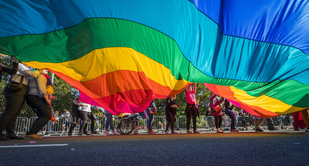 LGBTI პირების უფლებების დაცვის ინდექსით, საქართველოს 100-დან 25,87% აქვს მინიჭებული