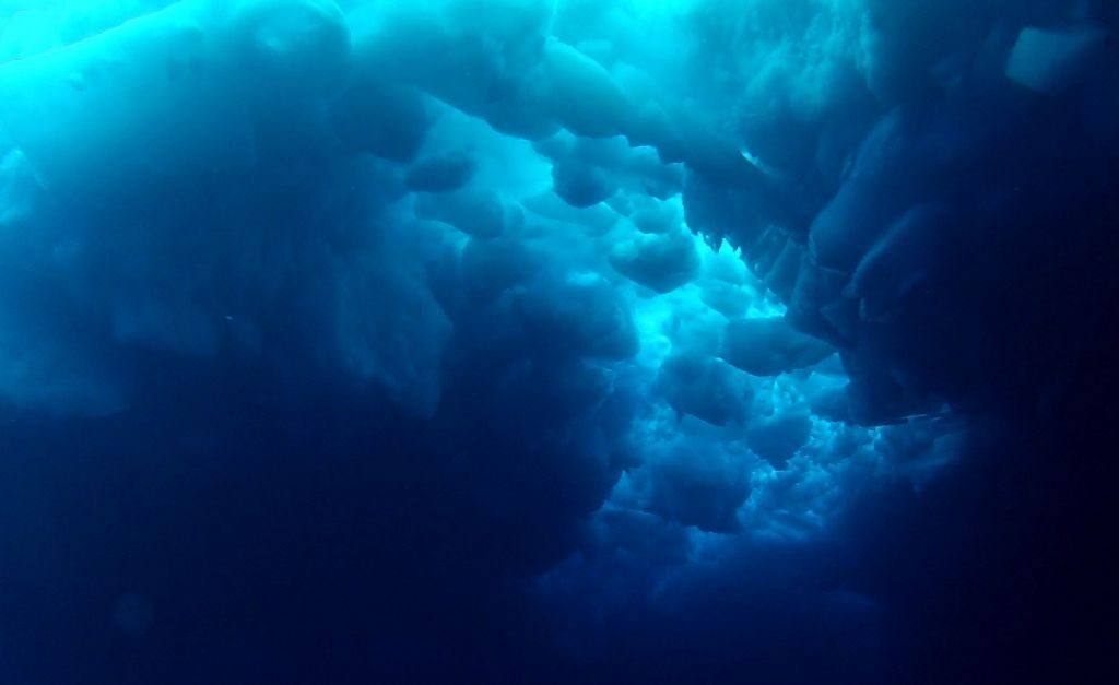 ანტარქტიდის ქვეშ მილიონი წლის ყინულის ბირთვი აღმოაჩინეს