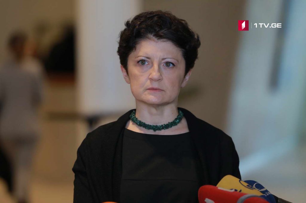 Tea Tsulukiani – Georgian side will be presented by position backed by evidences