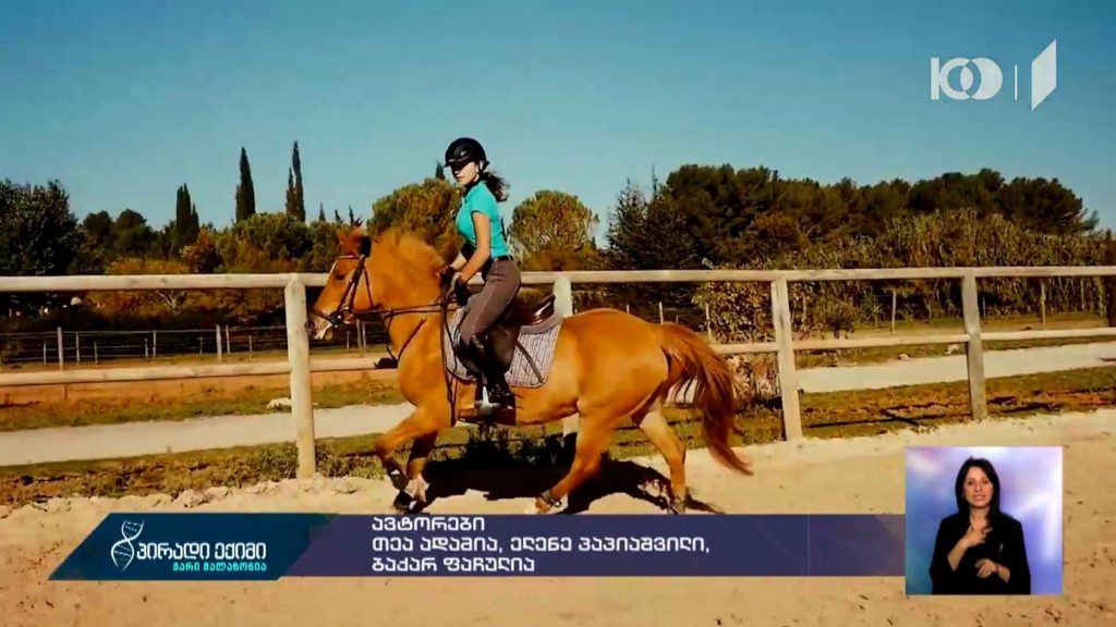 #პირადიექიმი ცხენით ჯირითი – რეკომენდაციები