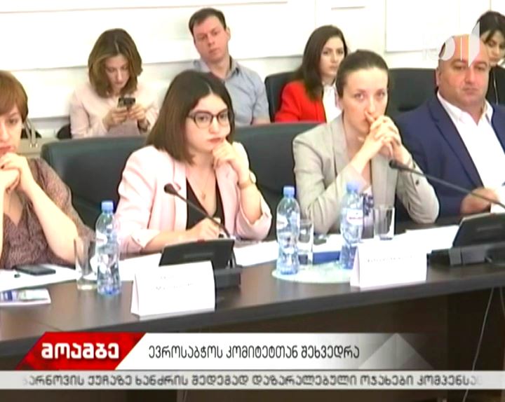შეხვედრა საგარეო საქმეთა სამინისტროში