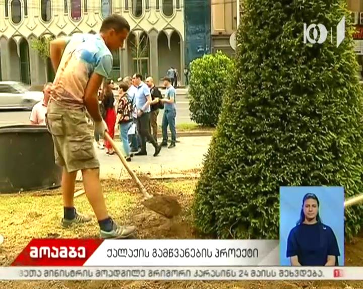 რუსთაველის გამზირზე გამწვანებითი სამუშაოები მიმდინარეობს