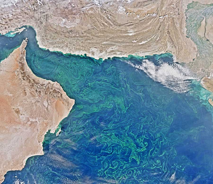 არაბეთის ზღვის „მკვდარი ზონა“ უზარმაზარია და საოცრად სწრაფად იზრდება - საგანგაშო პროგნოზი