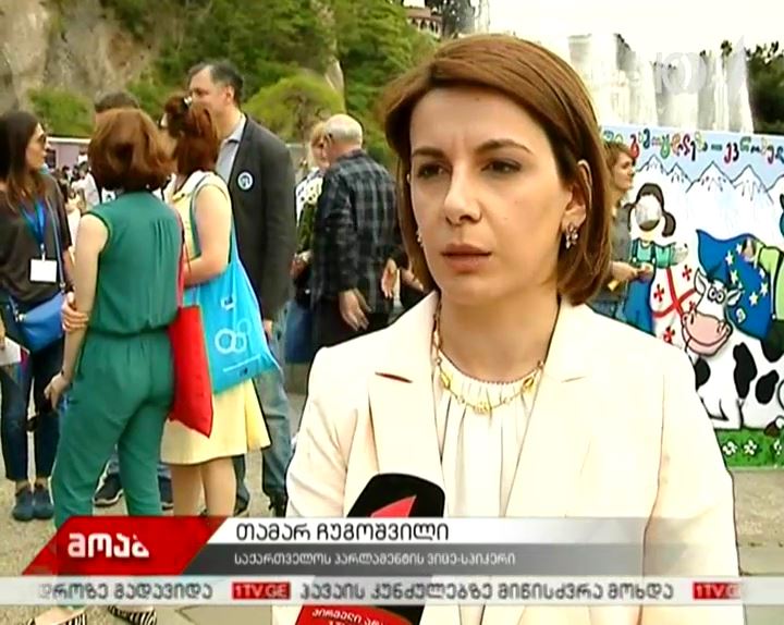 თამარ ჩუგოშვილი - პრეზიდენტის იმპიჩმენტზე და გამოძიების დაწყებაზე გუნდში არ უსაუბრიათ