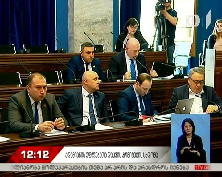 უვიზოდ მოგზაურობის შესაძლებლობის არაკეთილსინდისიერად გამოყენების პრევენციისთვის პარლამენტში კანონს მიიღებენ