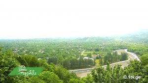 ფერმა 06 03.mp4_20180603_134942.107