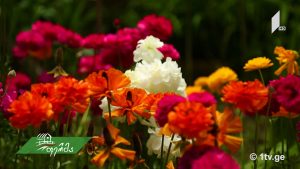 ფერმა 06 10.mp4_20180610_131809.051