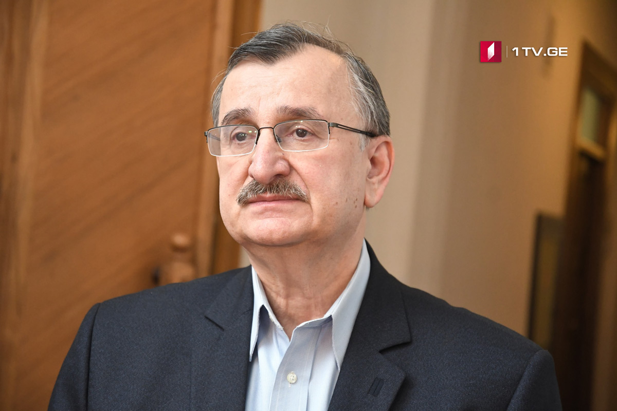 რომან გოცირიძე არ აკონკრეტებს, ჭარბავლიანობასთან დაკავშირებით „ნაციონალური მოძრაობის“ ინიციატივის აღსრულება როგორ მოხდება