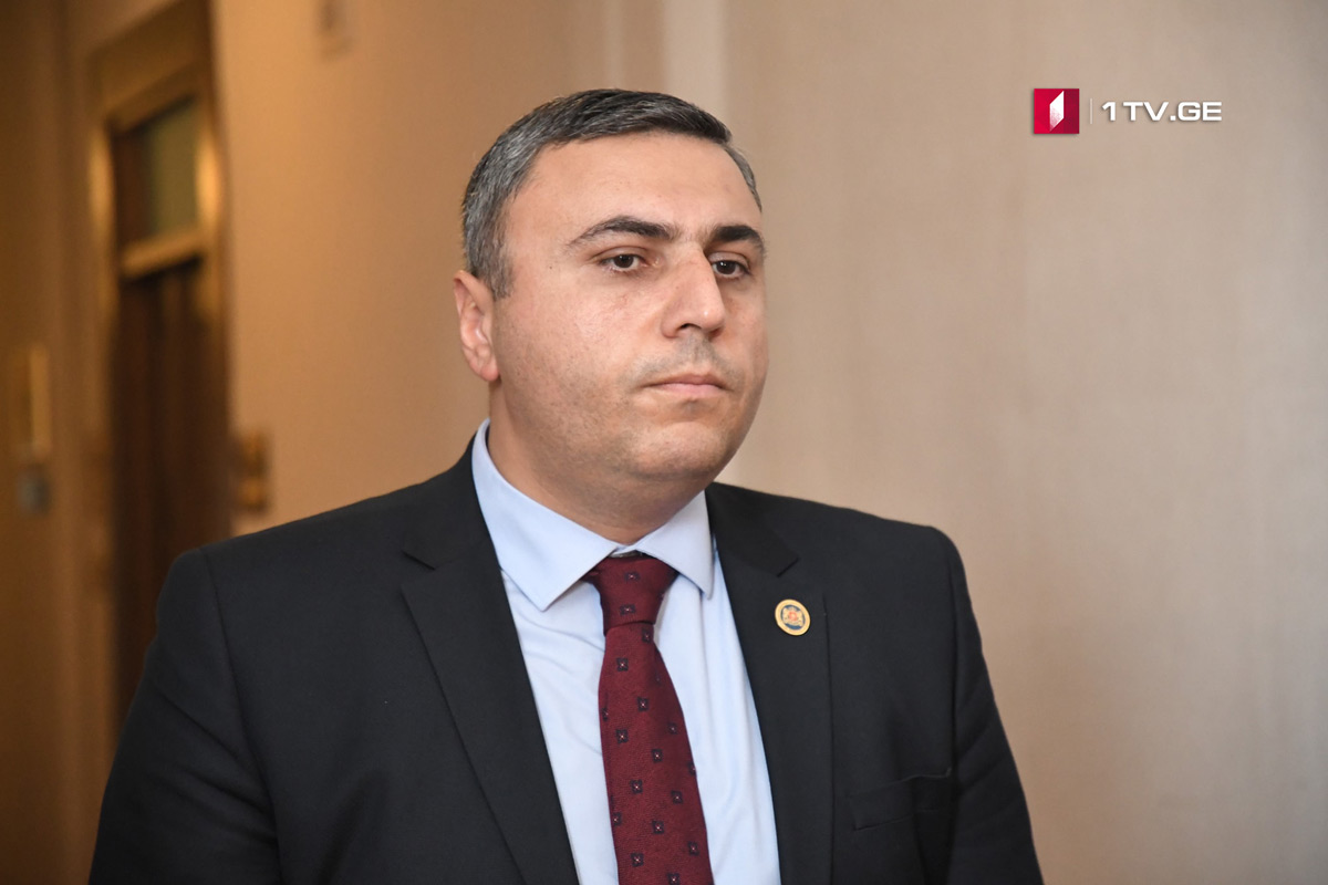 ​დავით მათიკაშვილი - ევროპულმა სასამართლომ 2008 წლის მოვლენები ზუსტად შეაფასა
