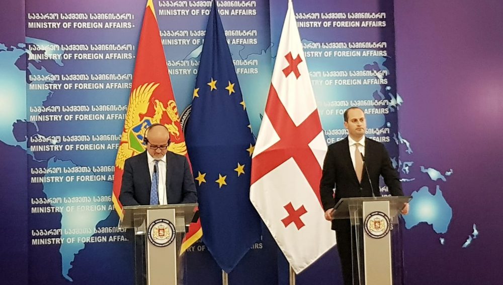 საქართველოს ოფიციალური ვიზიტით მონტენეგროს საგარეო საქმეთა მინისტრი ეწვია