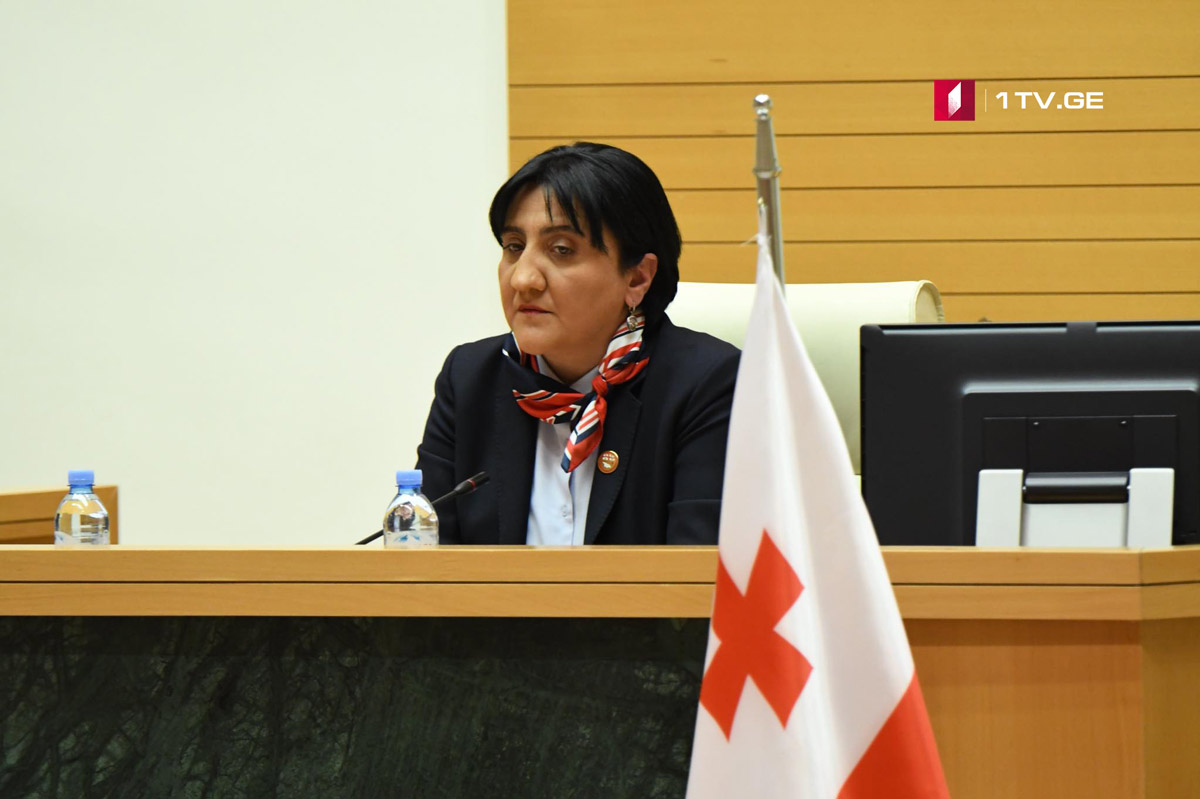 ირმა ინაშვილი საპარლამენტო უმრავლესობას მოუწოდებს, 2004-2012 წლების მმართველობის შესახებ „პატრიოტთა ალიანსის“ რეზოლუციას მხარი დაუჭირონ