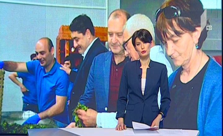 ჩაის გადამამუშავებელი ახალი საწარმო ოზურგეთში