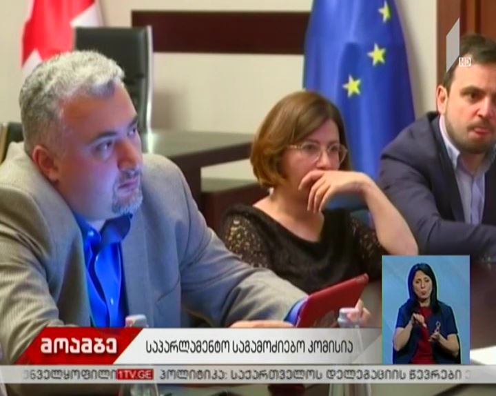 მოზარდების მკვლელობის საქმის მასალებს პროკურატურა საპარლამენტო საგამოძიებო კომისიას გადაუგზავნის