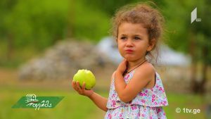 ფერმა 2018 07 15.mp4_20180715_125802.122