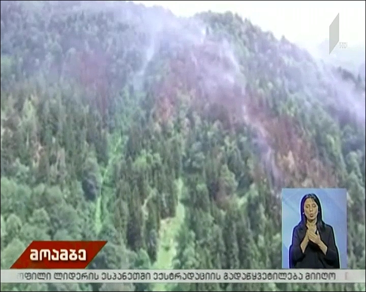 სოფელ ზესხოში ხანძრის რამდენიმე ახალი კერა გაჩნდა