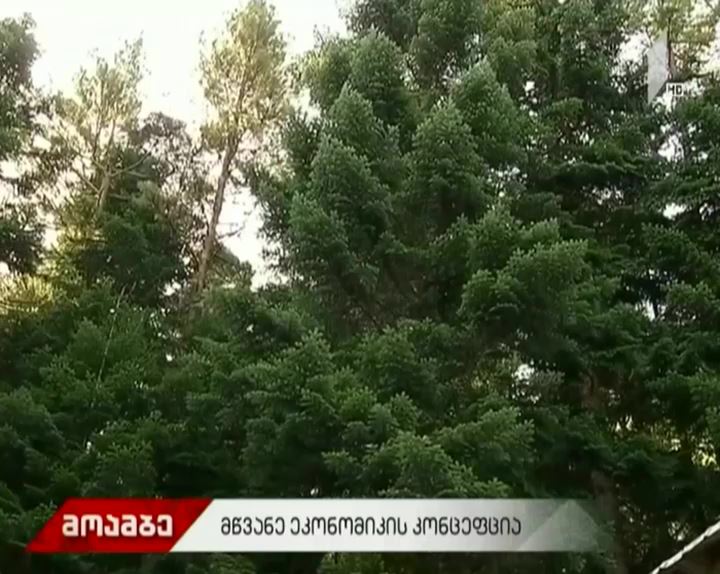 "მწვანე ეკონომიკის" კონცეფცია
