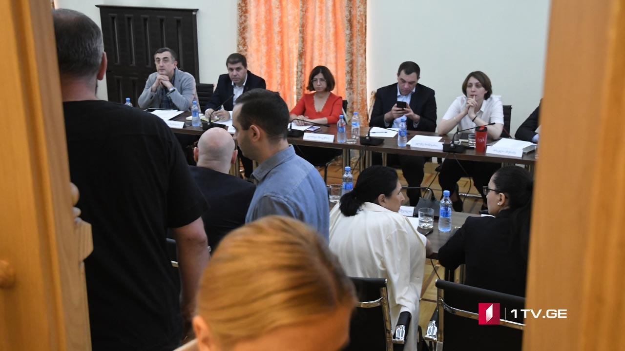 პარლამენტის საგამოძიებო კომისიის სხდომა არასრულწლოვნების საქმეზე