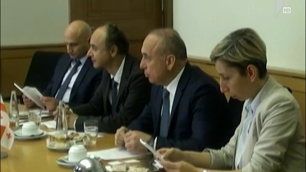 სამუშაო ვიზიტი
