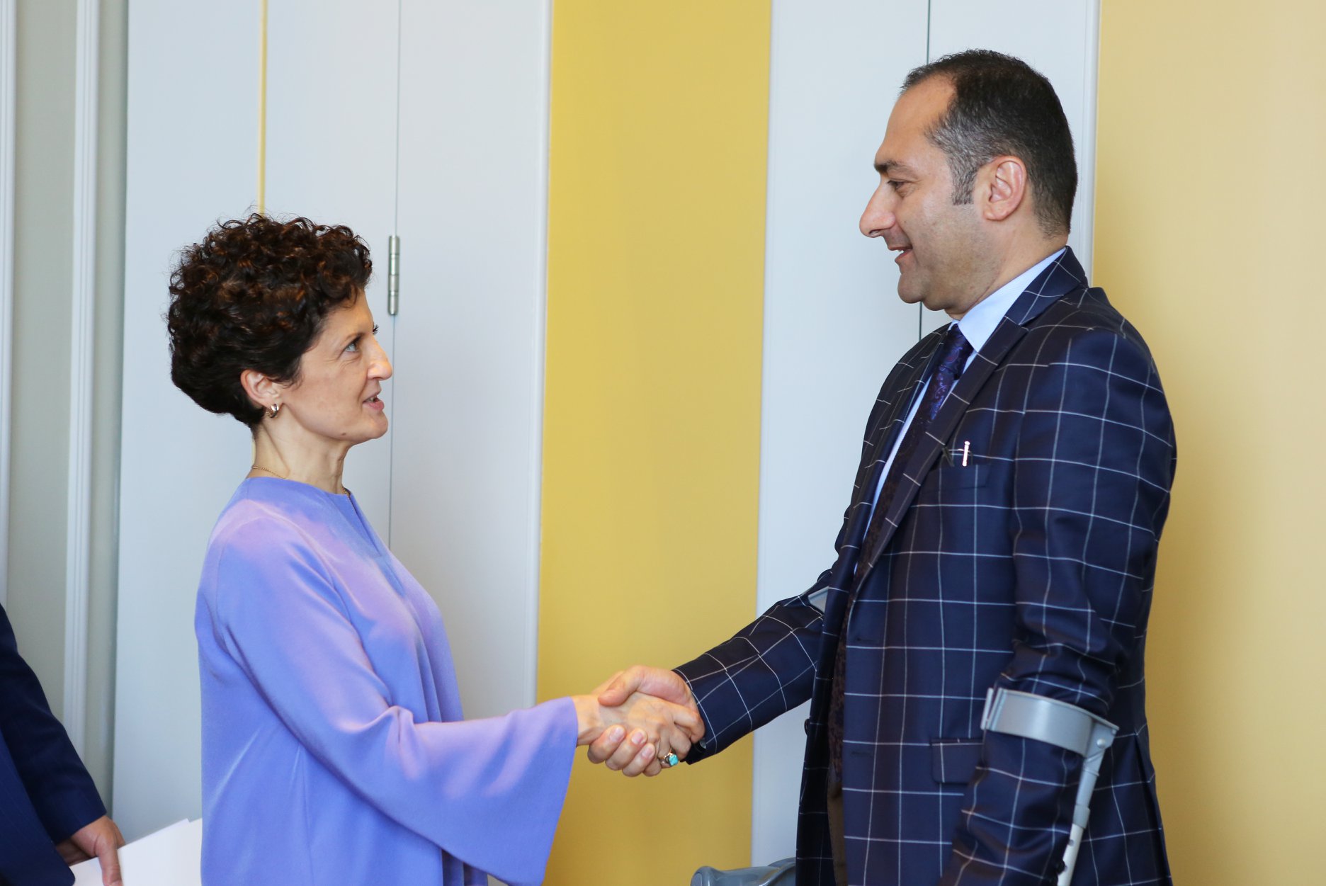 თეა წულუკიანი სომეხ კოლეგას, არტაკ ზეინალიანს შეხვდა