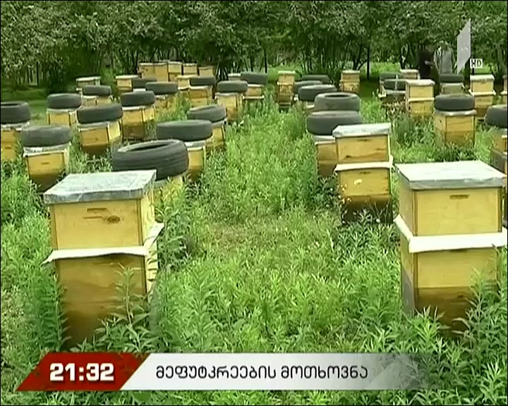 მეფუტკრეების პრობლემები