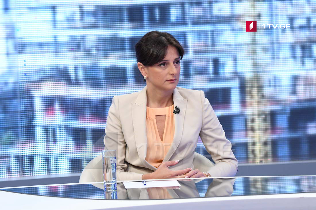 მაია ბითაძე - ჩვენი და „სითი ინსტიტუტის" ერთობლივი მუშაობის შედეგად აღმოფხვრილია ყველა ხარვეზი და თბილისის მიწათსარგებლობის განახლებულ გენგეგმაზე მუშაობა დასრულდა 