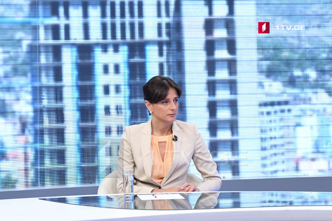 მაია ბითაძე - გარედან პოპულისტური განცხადებები კარგია, მაგრამ გენგეგმა რომ პრაქტიკაში გამოვიყენოთ, ამისთვის „სითი ინსტიტუტთან“ ერთად სამთვიანი შრომა გავწიეთ