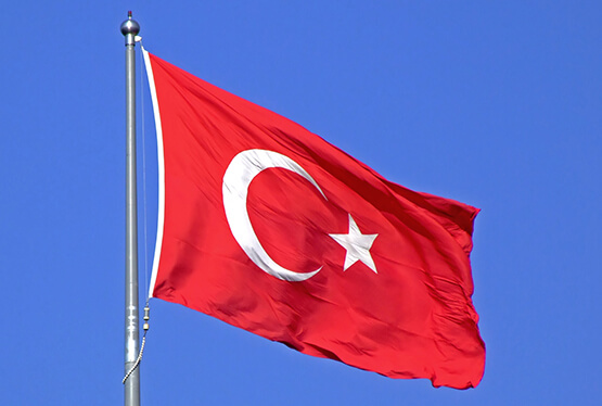 თურქეთის საელჩო - თურქეთში C ჰეპატიტის წინააღმდეგ გამოიყენება იმავე ტიპის მედიკამენტები, როგორიც - საქართველოში